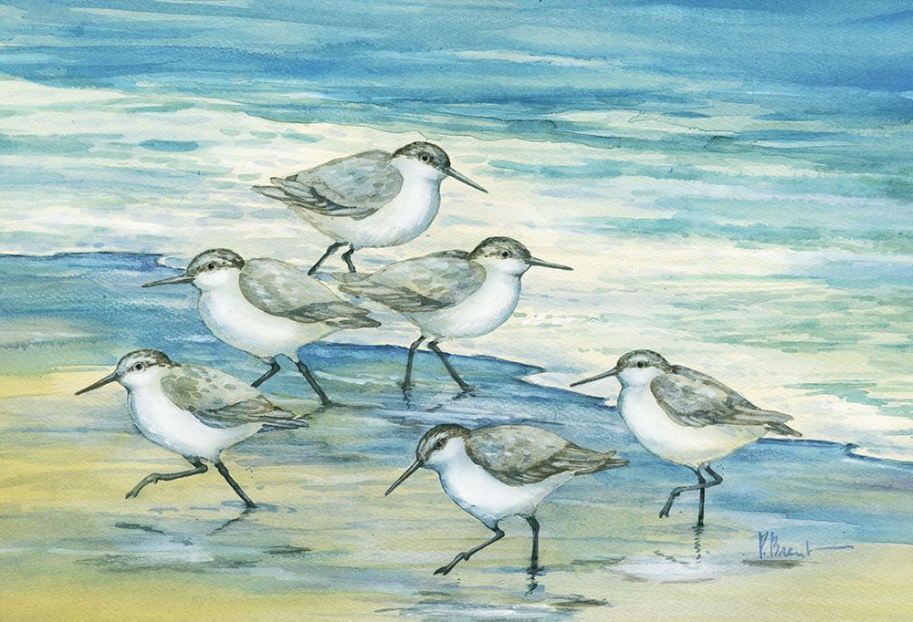 Surfside Sandpipers art print by Paul Brent for $57.95 CAD