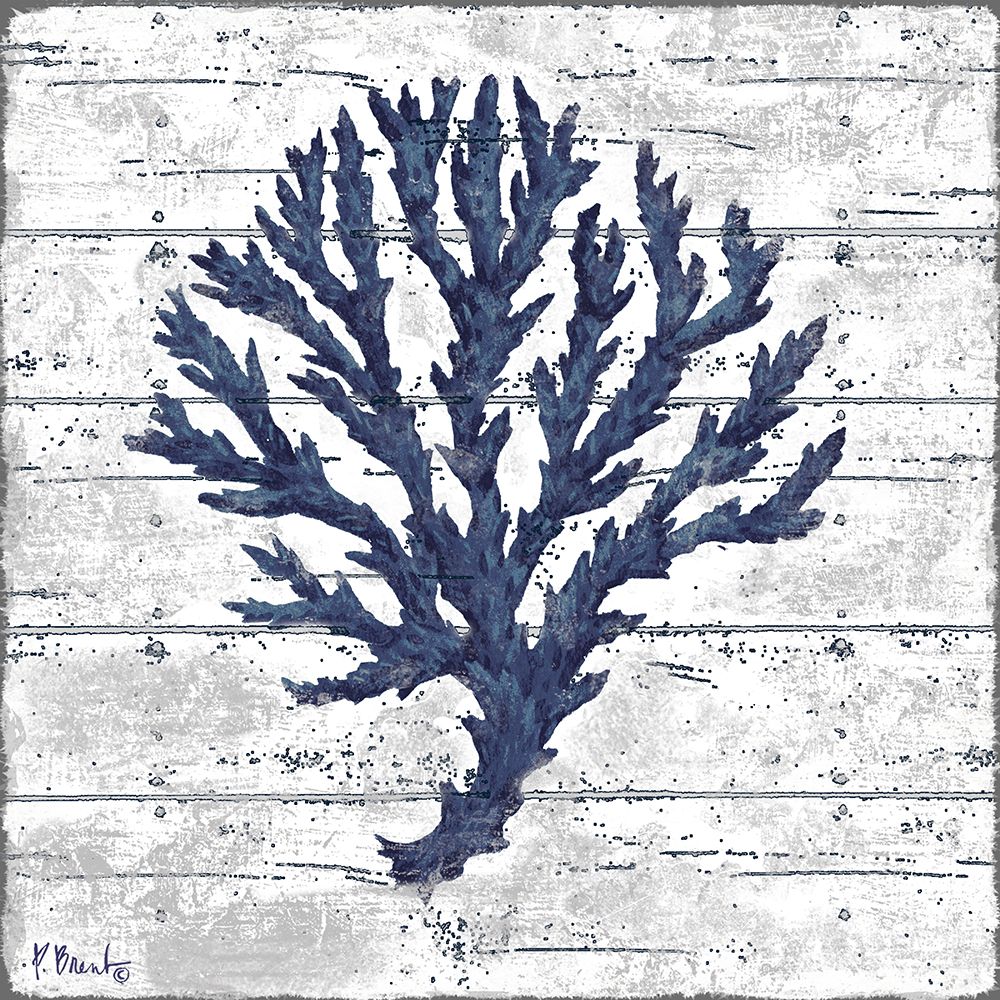 Cape Coral III - White art print by Paul Brent for $57.95 CAD