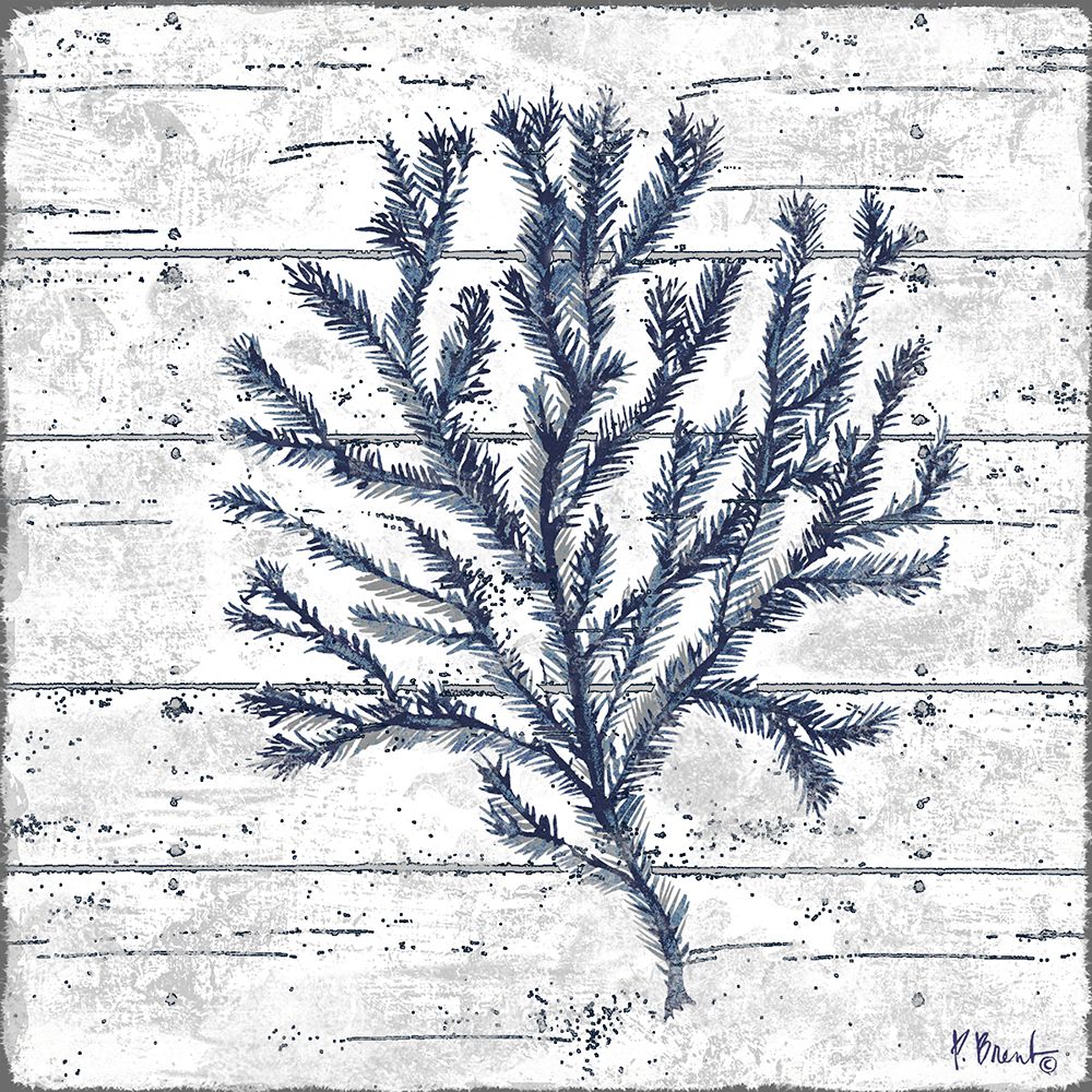 Cape Coral IV - White art print by Paul Brent for $57.95 CAD