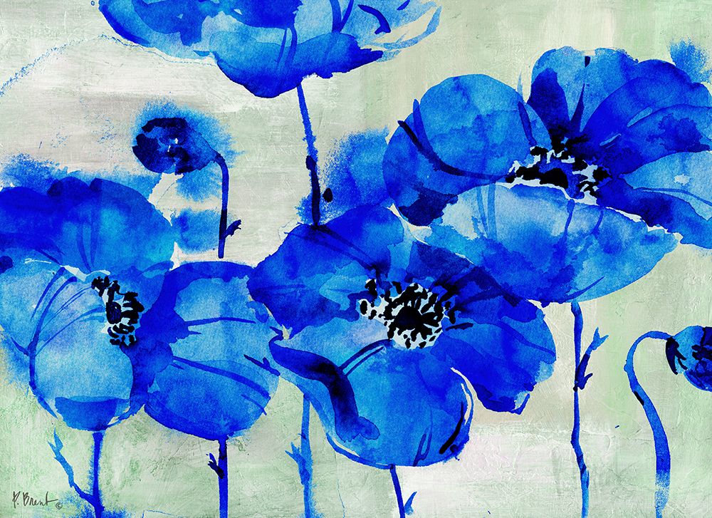 Amalfi Poppies - Blue art print by Paul Brent for $57.95 CAD
