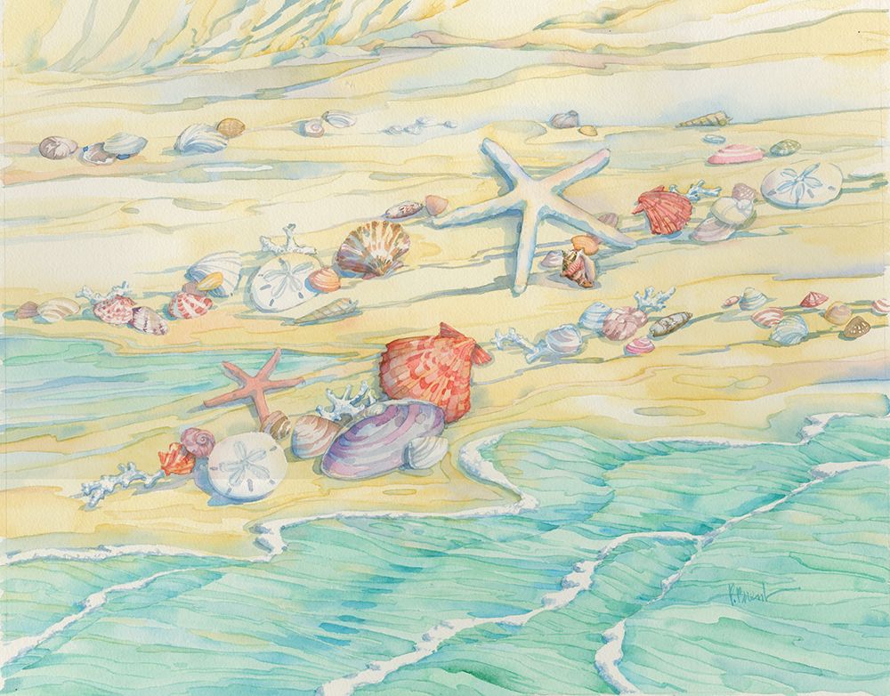 Shells Along the Cape art print by Paul Brent for $57.95 CAD