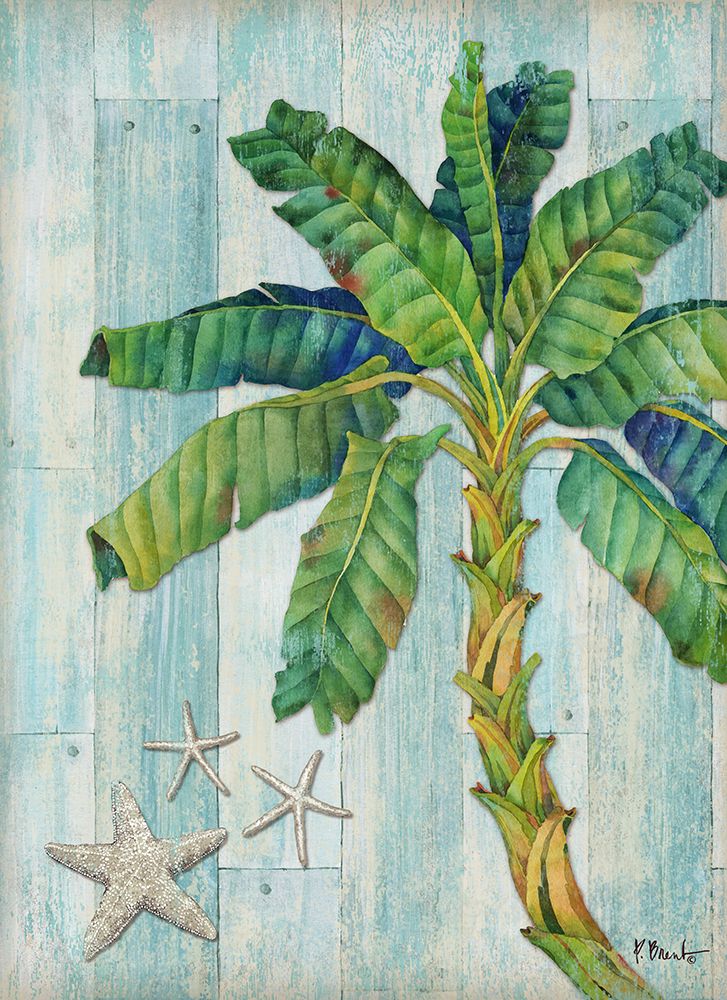 Clearwater Palm II art print by Paul Brent for $57.95 CAD