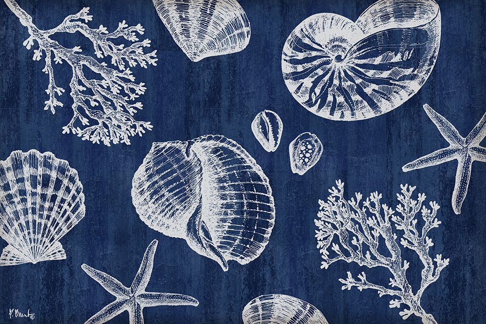 Saint Tropez Shells Horizontal - Indigo art print by Paul Brent for $57.95 CAD