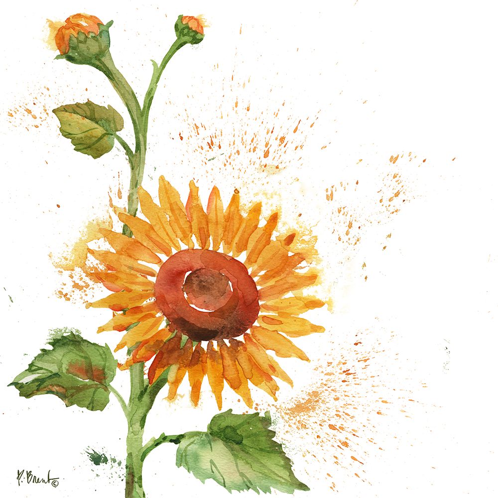 Arianna Sunflowers I - White art print by Paul Brent for $57.95 CAD