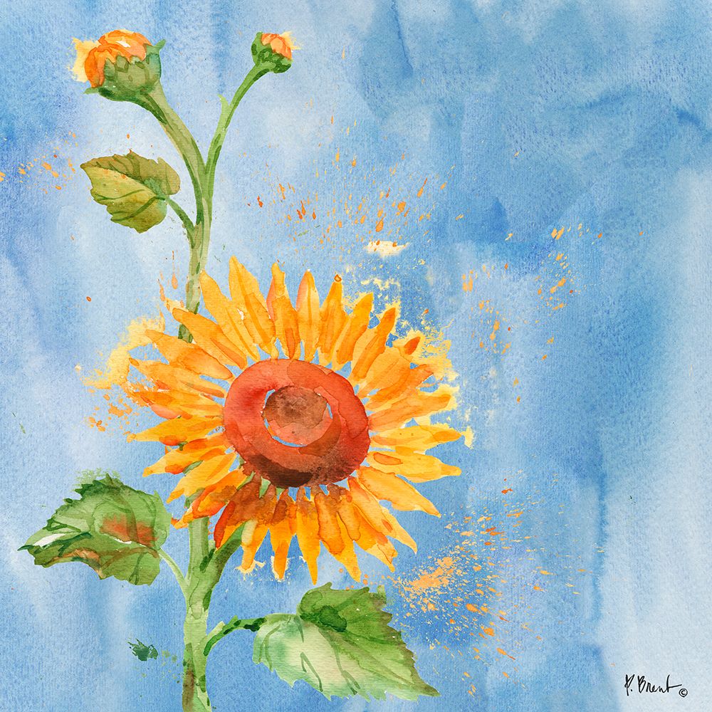 Arianna Sunflowers I - Sky Blue art print by Paul Brent for $57.95 CAD