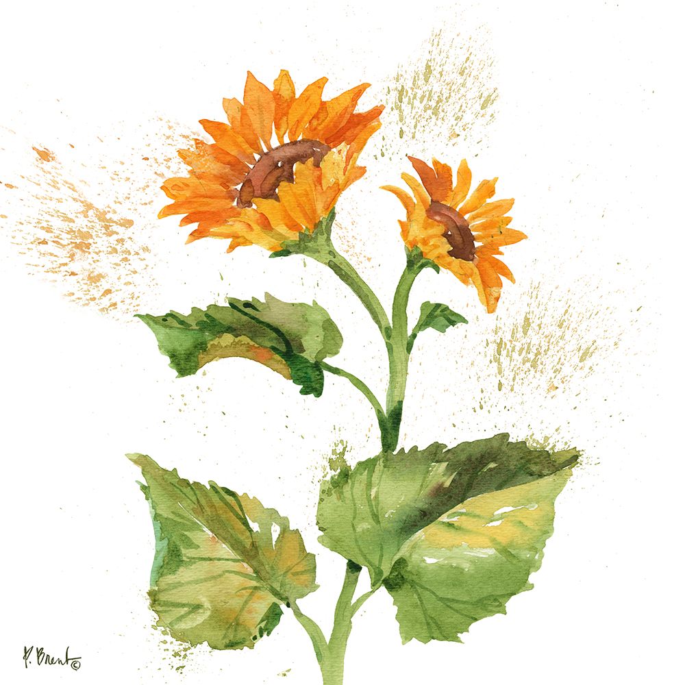 Arianna Sunflowers II - White art print by Paul Brent for $57.95 CAD
