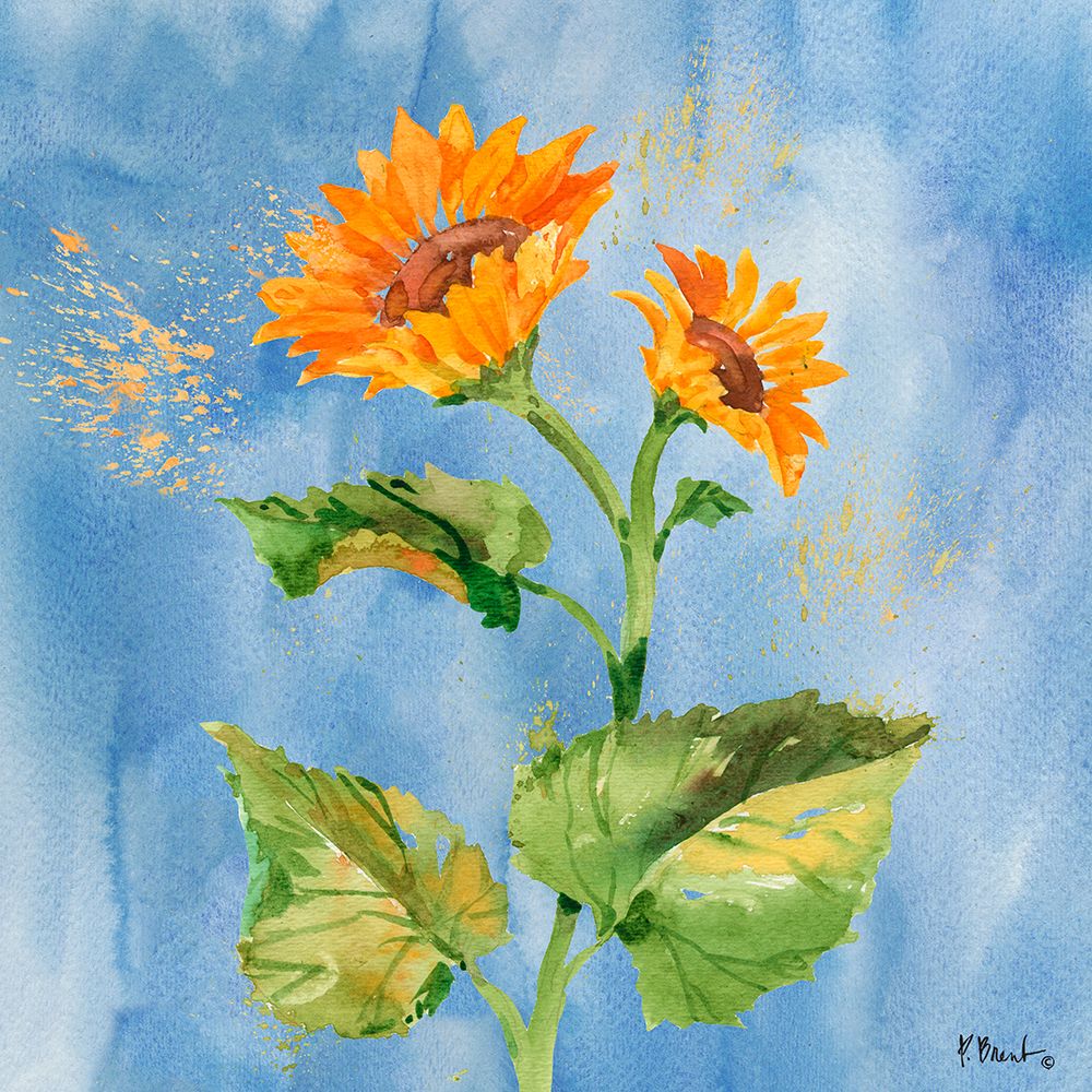 Arianna Sunflowers II - Sky Blue art print by Paul Brent for $57.95 CAD