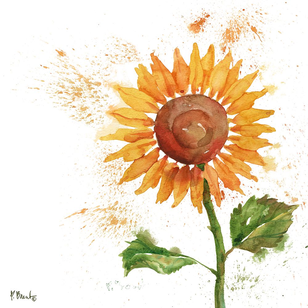 Arianna Sunflowers III - White art print by Paul Brent for $57.95 CAD
