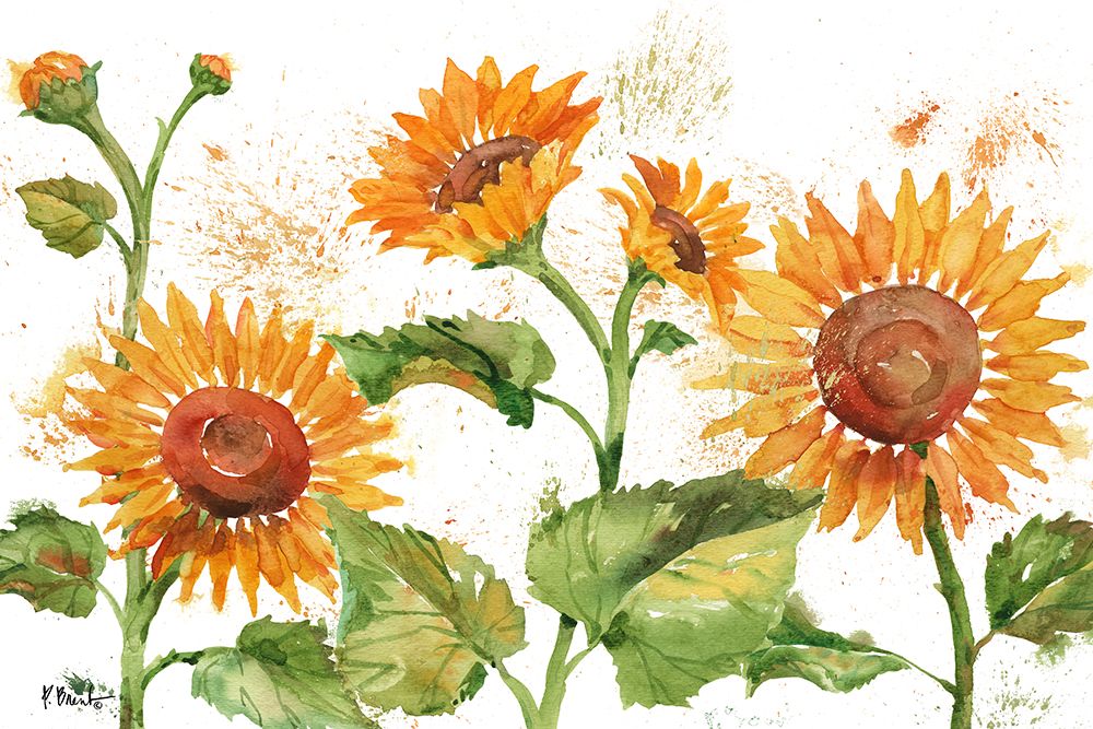 Arianna Sunflowers Horizontal - White art print by Paul Brent for $57.95 CAD