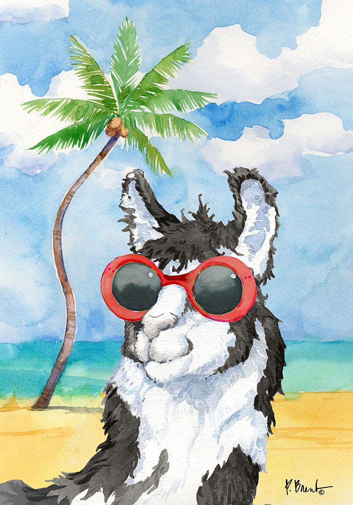 Hip Shades Llama III art print by Paul Brent for $57.95 CAD