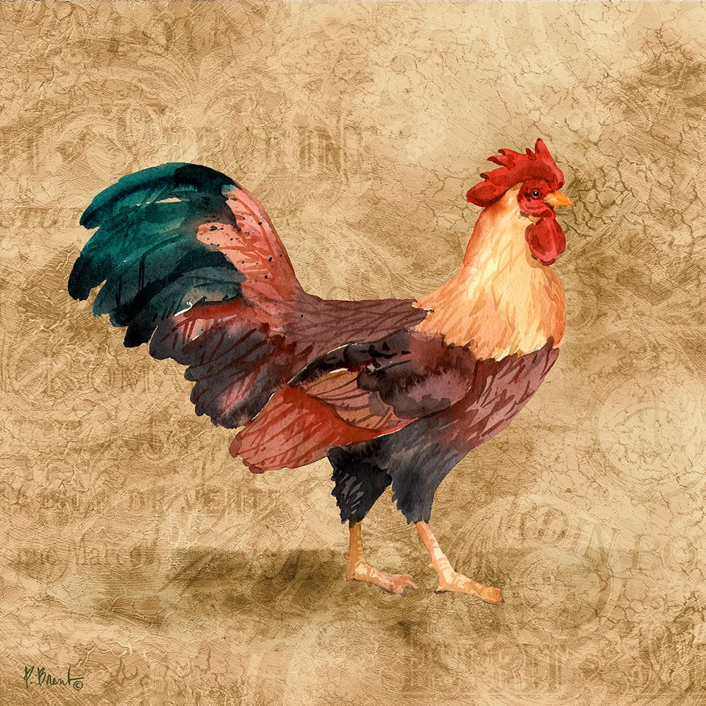 French Countryside Rooster I art print by Paul Brent for $57.95 CAD