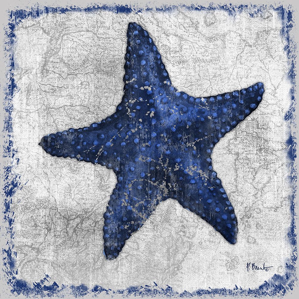 Saltwater Exploration I - Indigo art print by Paul Brent for $57.95 CAD