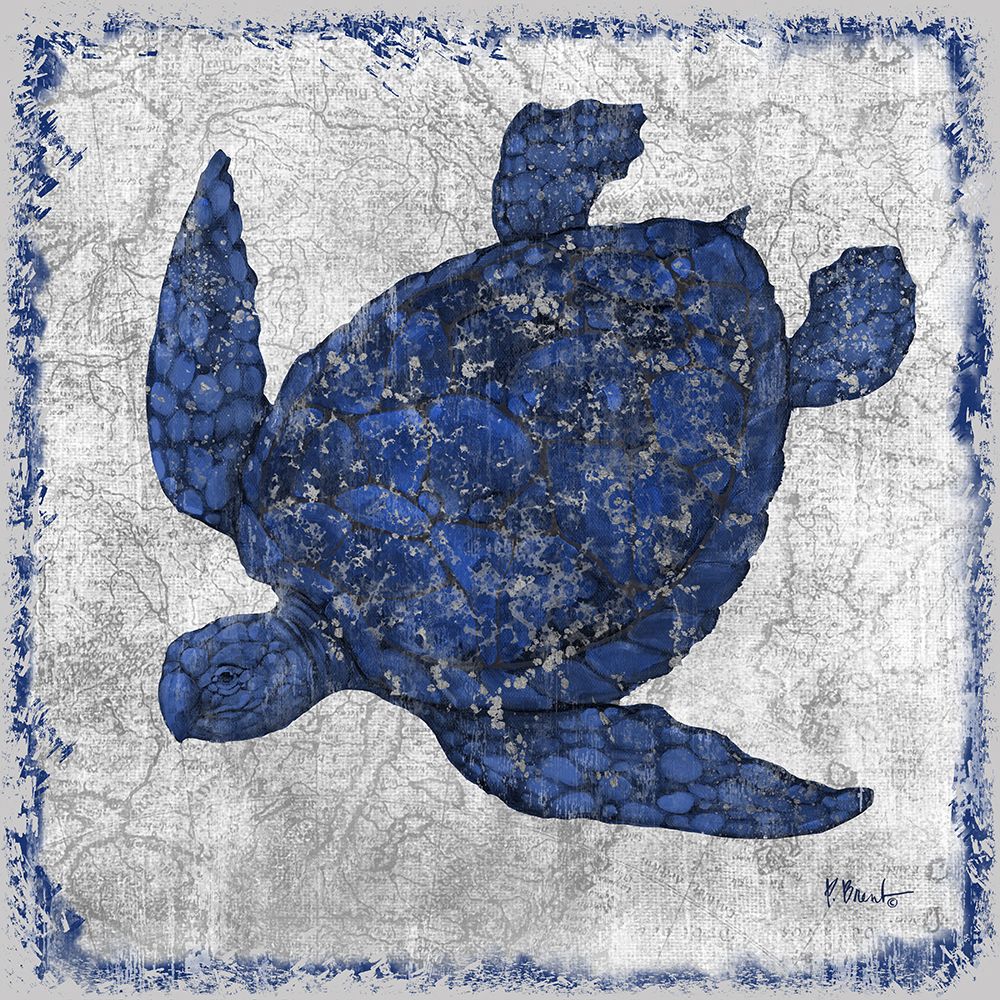 Saltwater Exploration III - Indigo art print by Paul Brent for $57.95 CAD