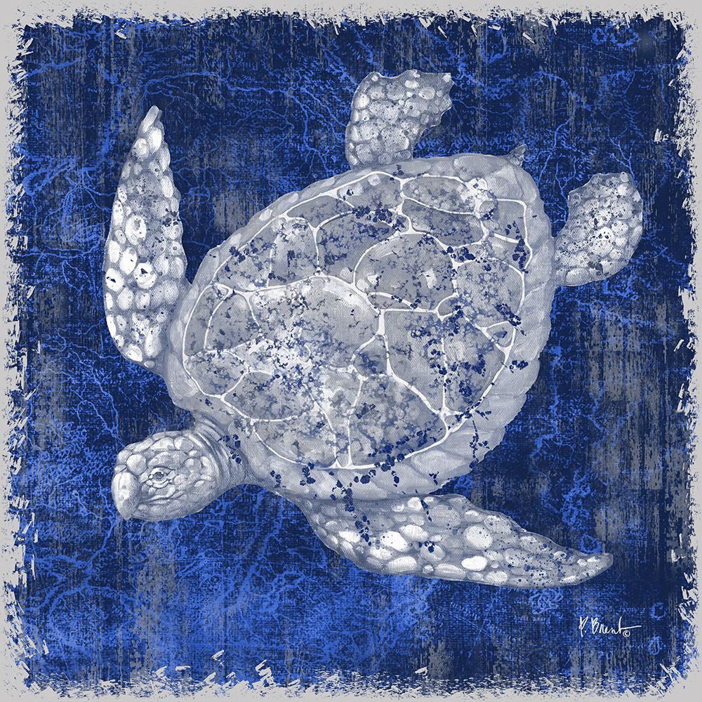 Saltwater Exploration III - Grey art print by Paul Brent for $57.95 CAD
