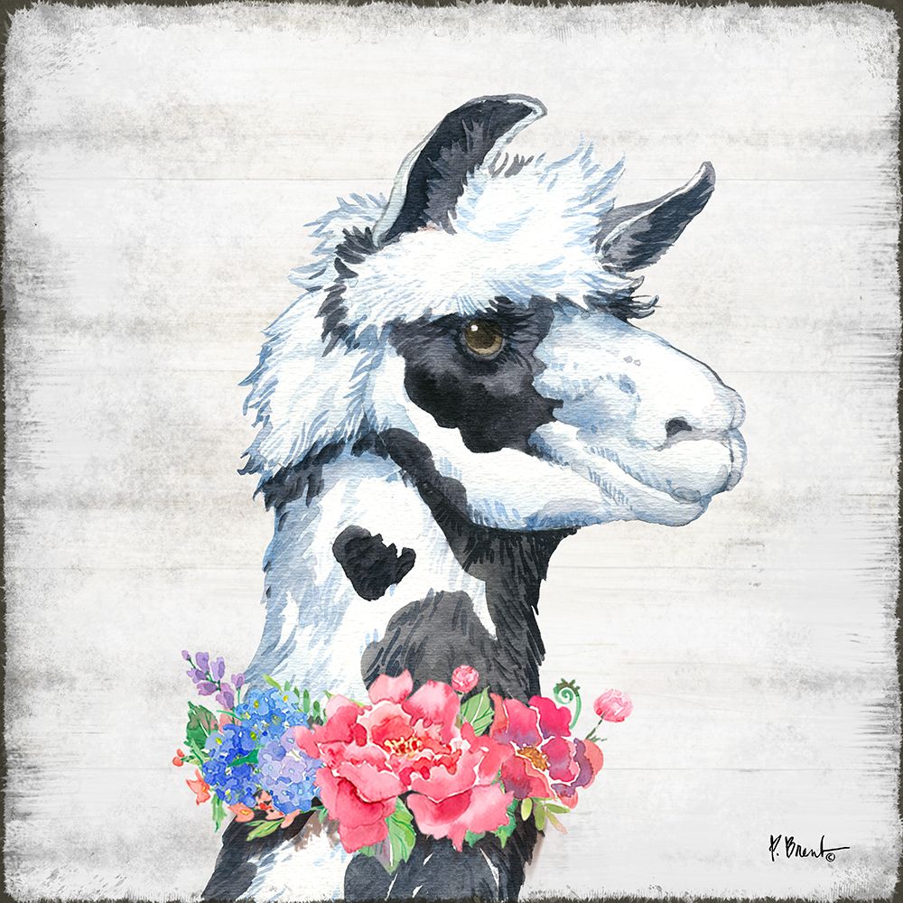 Llama Bloom I art print by Paul Brent for $57.95 CAD