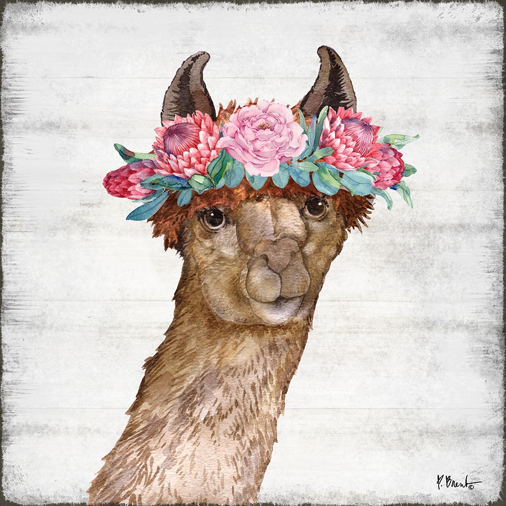 Llama Bloom II art print by Paul Brent for $57.95 CAD