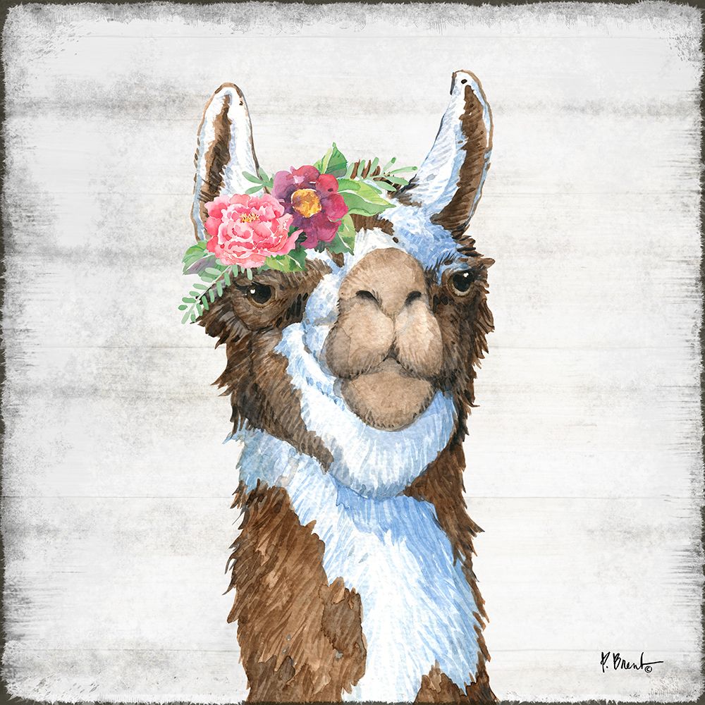 Llama Bloom III art print by Paul Brent for $57.95 CAD