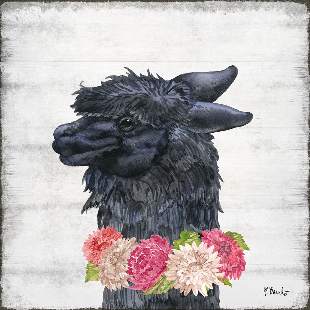 Llama Bloom IV art print by Paul Brent for $57.95 CAD