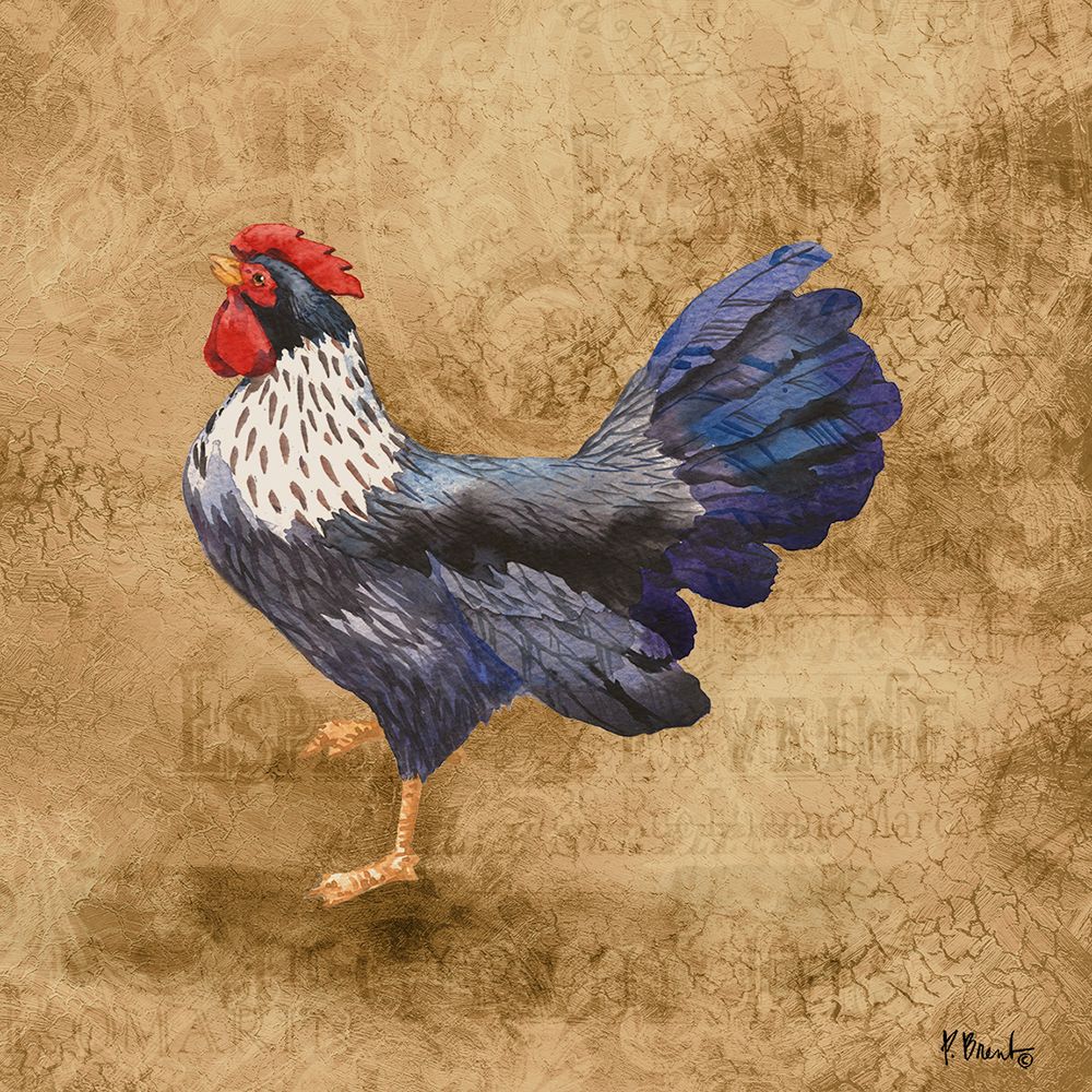 French Countryside Rooster V art print by Paul Brent for $57.95 CAD