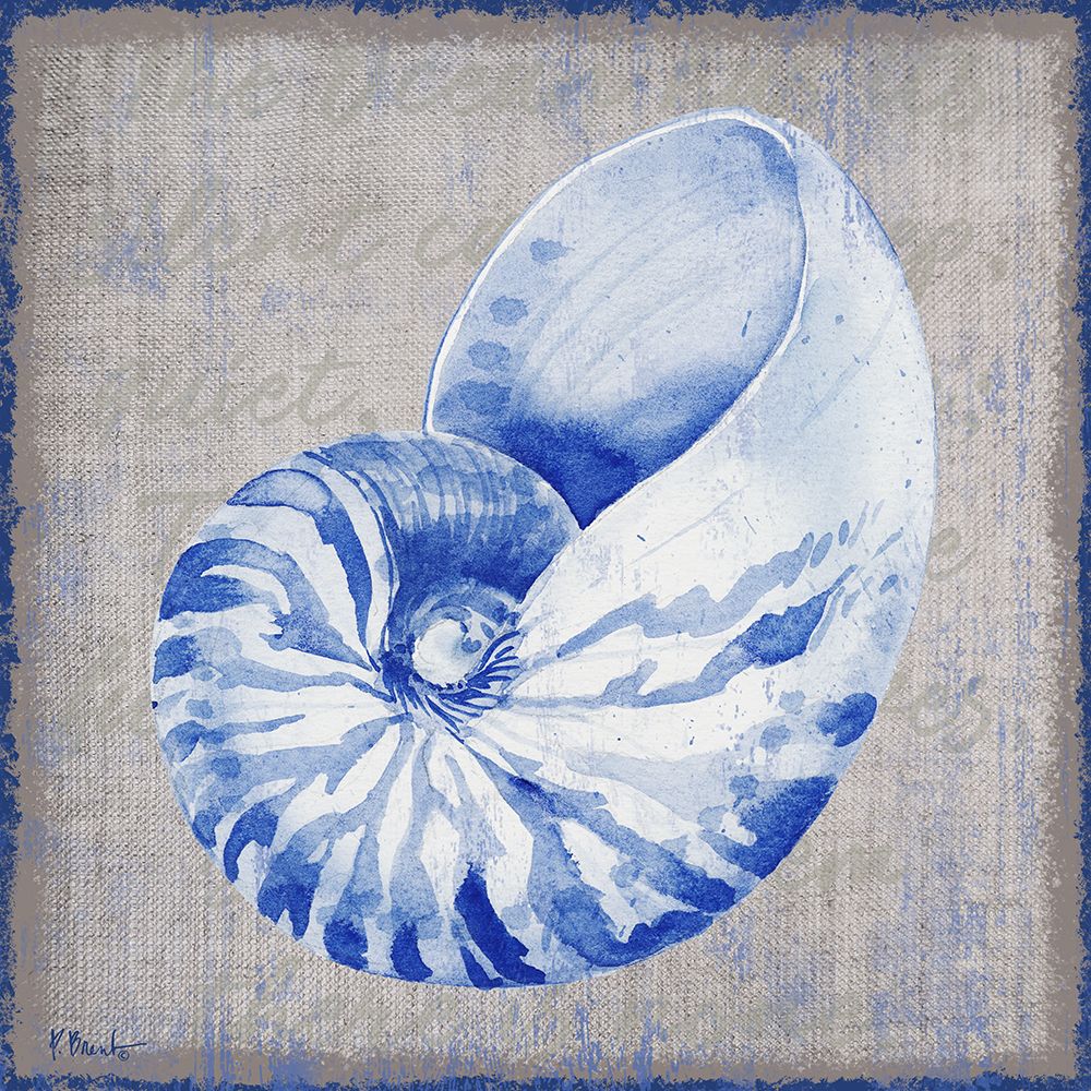 Grenada Shells I - Linen art print by Paul Brent for $57.95 CAD