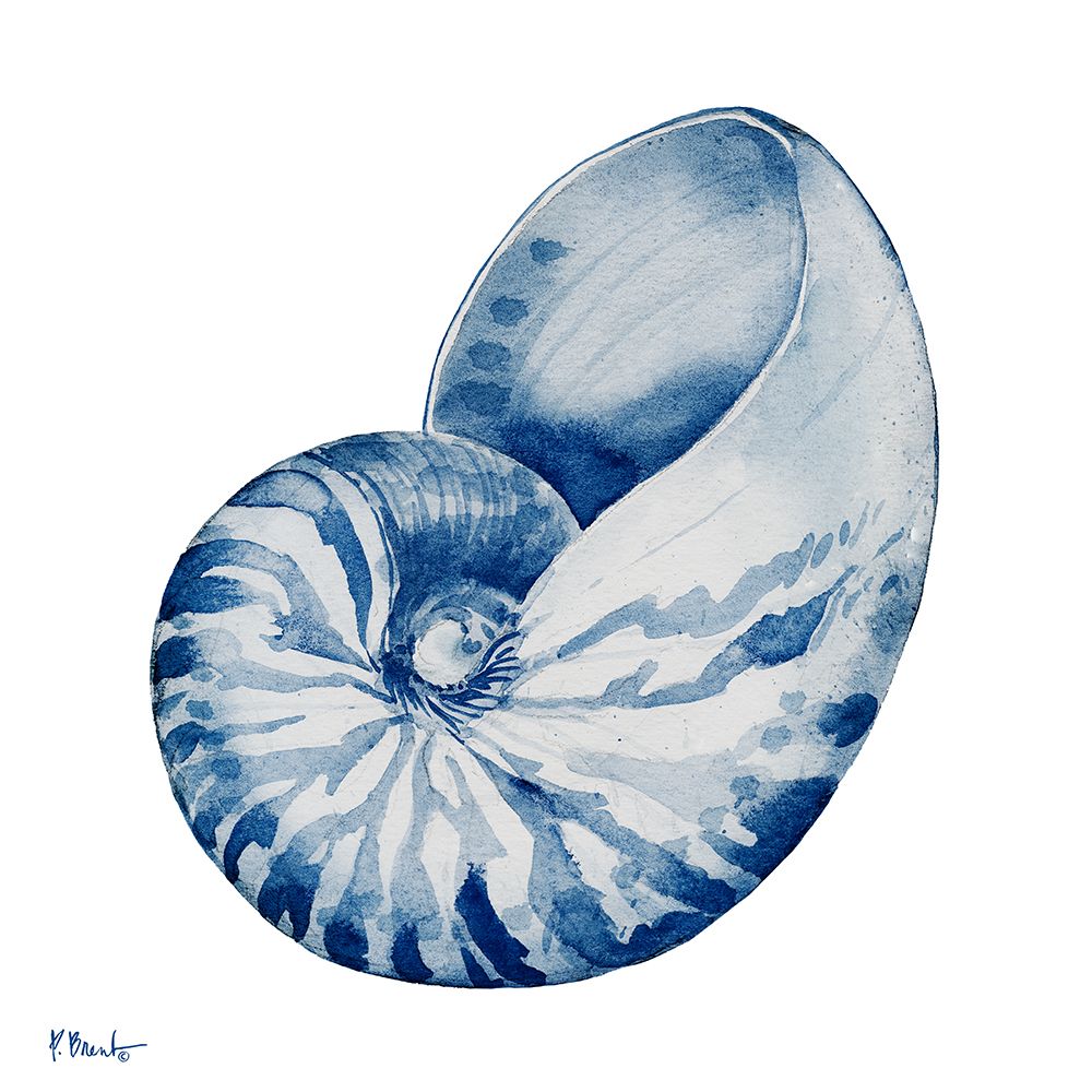 Grenada Shells I - Indigo art print by Paul Brent for $57.95 CAD
