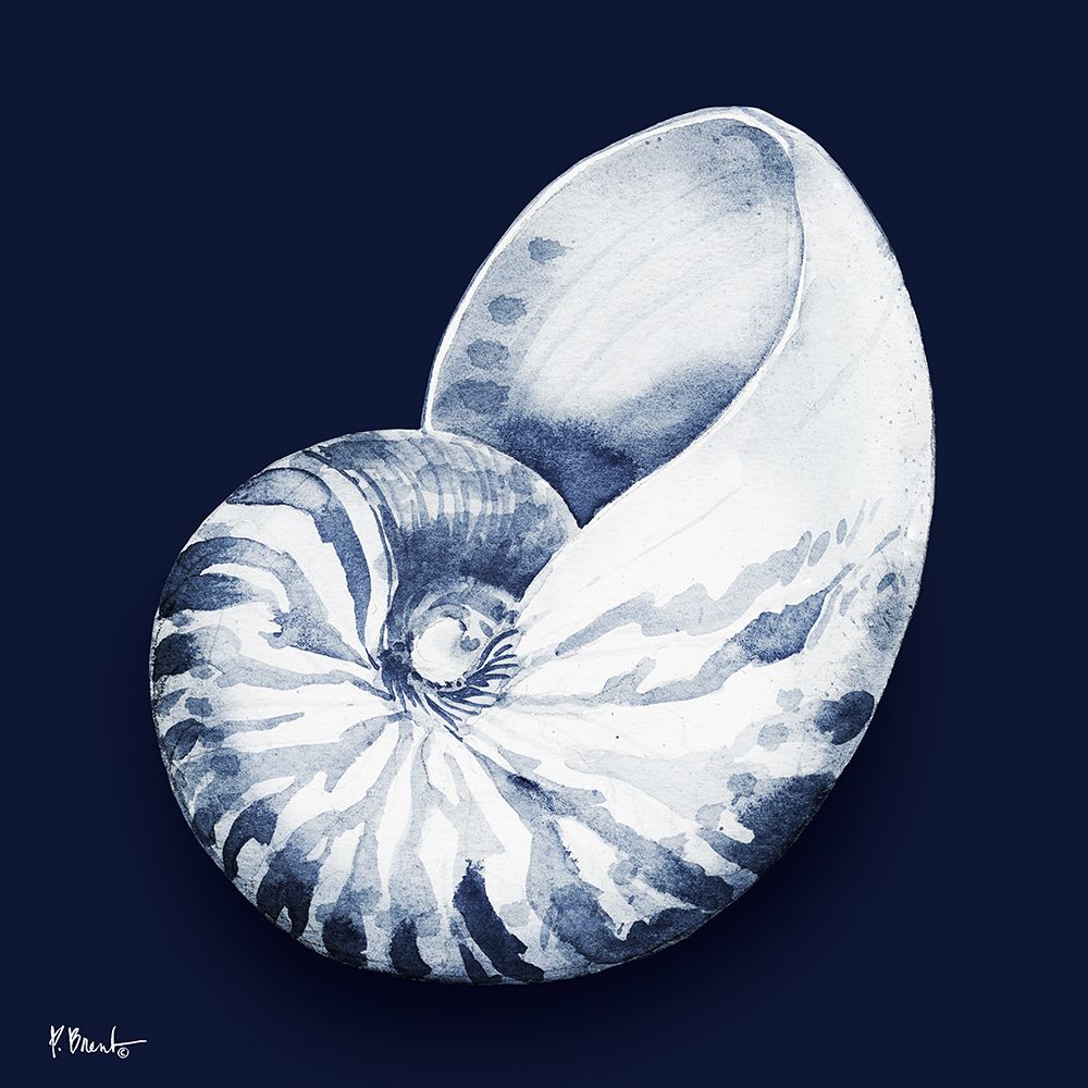 Grenada Shells I - Midnight art print by Paul Brent for $57.95 CAD