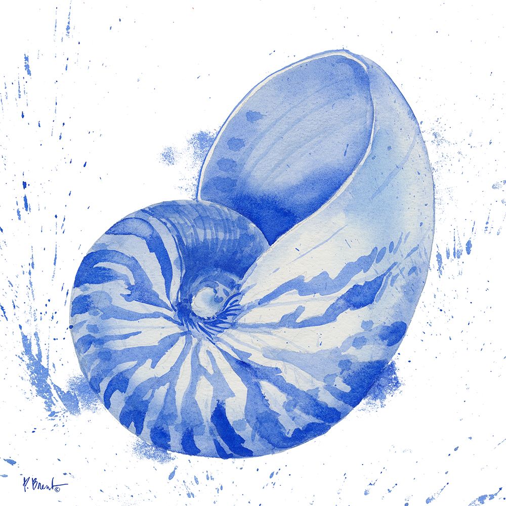 Grenada Shells I art print by Paul Brent for $57.95 CAD