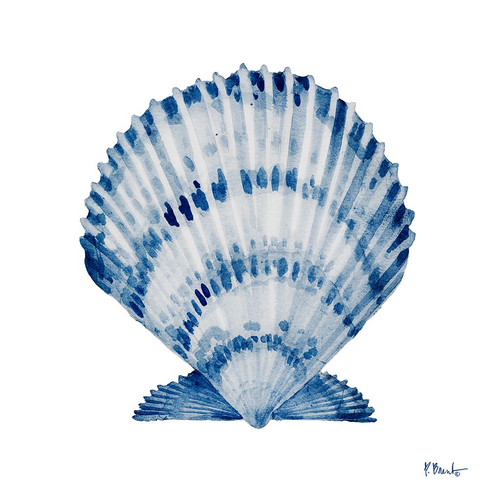 Grenada Shells II - Indigo art print by Paul Brent for $57.95 CAD