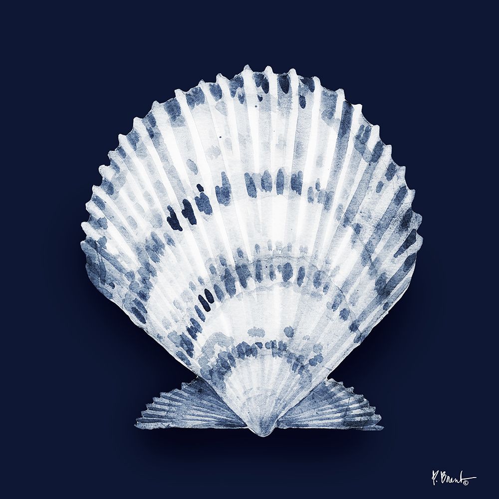 Grenada Shells II - Midnight art print by Paul Brent for $57.95 CAD