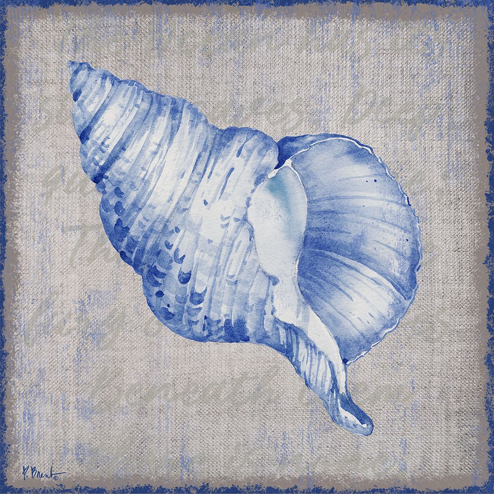 Grenada Shells III - Linen art print by Paul Brent for $57.95 CAD