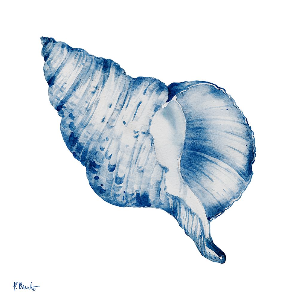 Grenada Shells III - Indigo art print by Paul Brent for $57.95 CAD