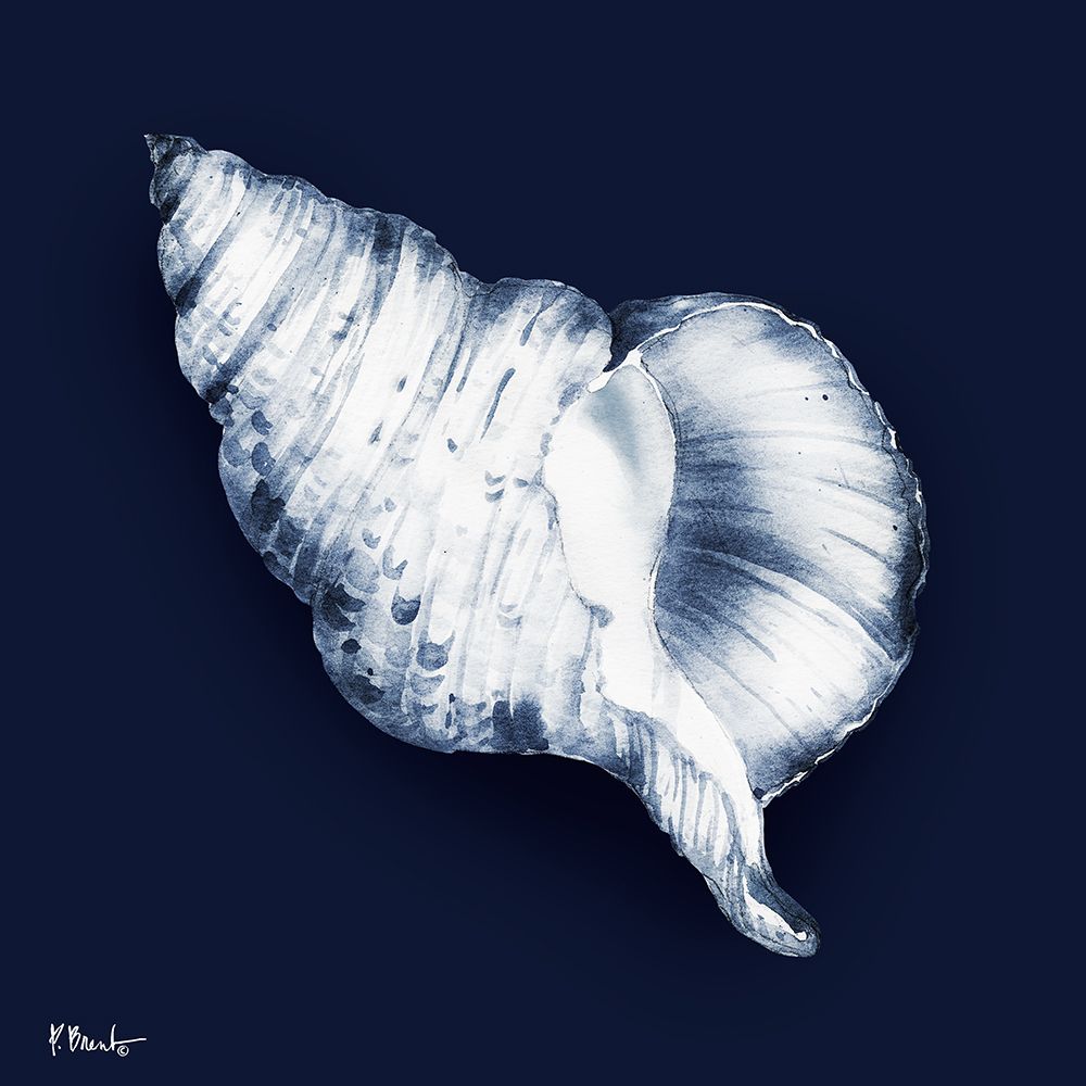 Grenada Shells III - Midnight art print by Paul Brent for $57.95 CAD