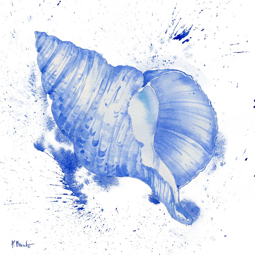 Grenada Shells III art print by Paul Brent for $57.95 CAD