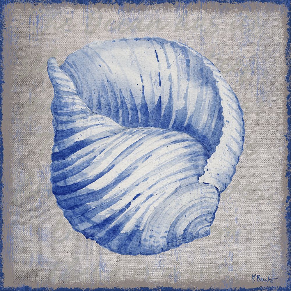 Grenada Shells IV - Linen art print by Paul Brent for $57.95 CAD