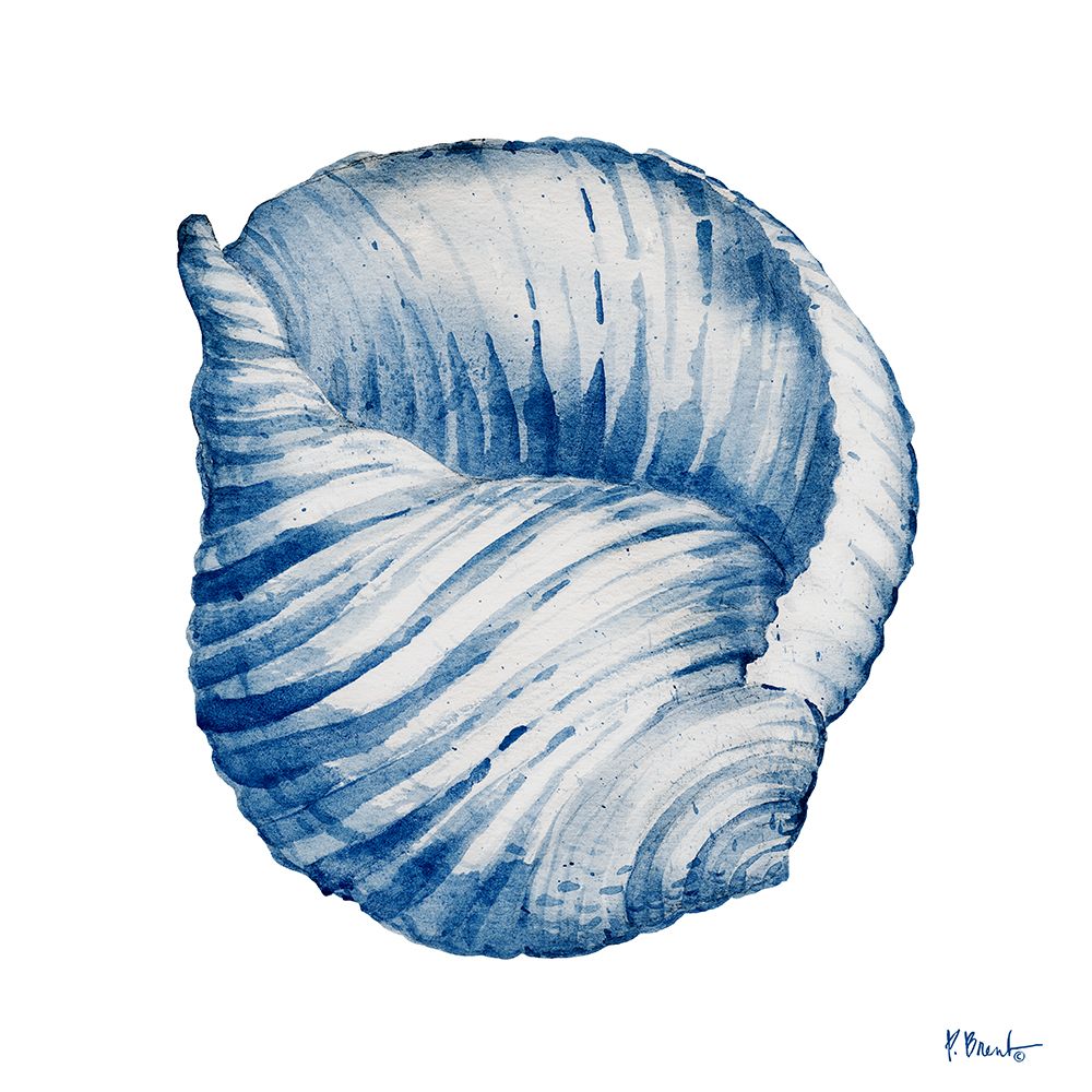Grenada Shells IV - Indigo art print by Paul Brent for $57.95 CAD
