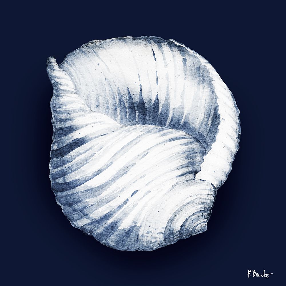Grenada Shells IV - Midnight art print by Paul Brent for $57.95 CAD