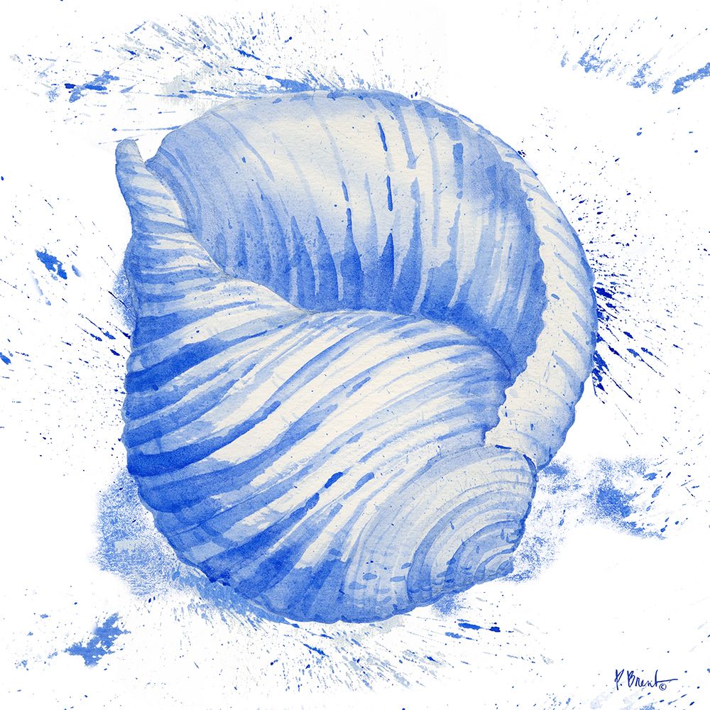 Grenada Shells IV art print by Paul Brent for $57.95 CAD
