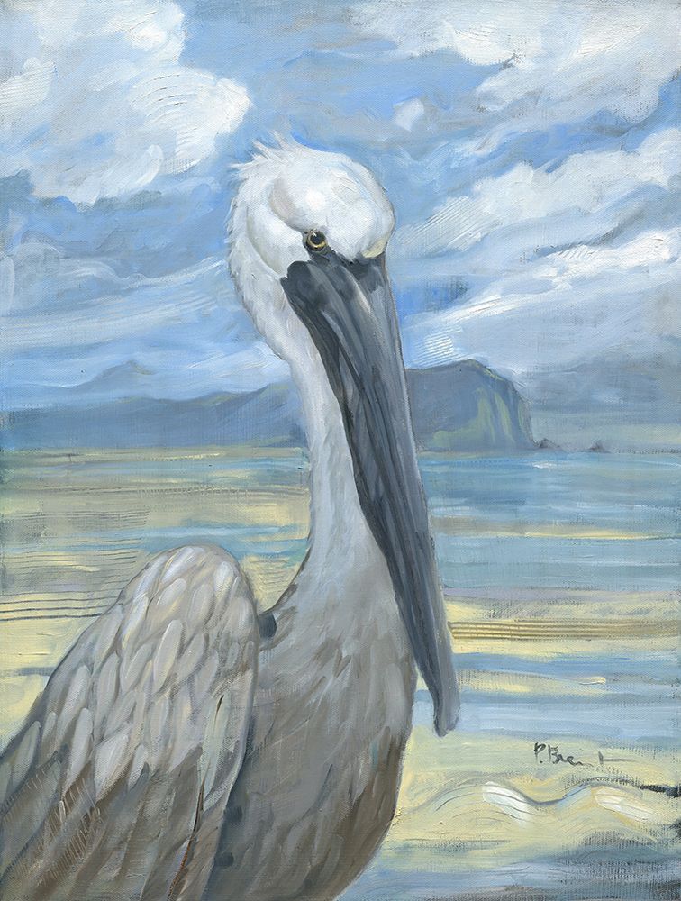 Salty Pelican art print by Paul Brent for $57.95 CAD