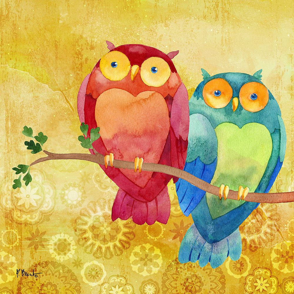 Bird Buddies I - Owls art print by Paul Brent for $57.95 CAD