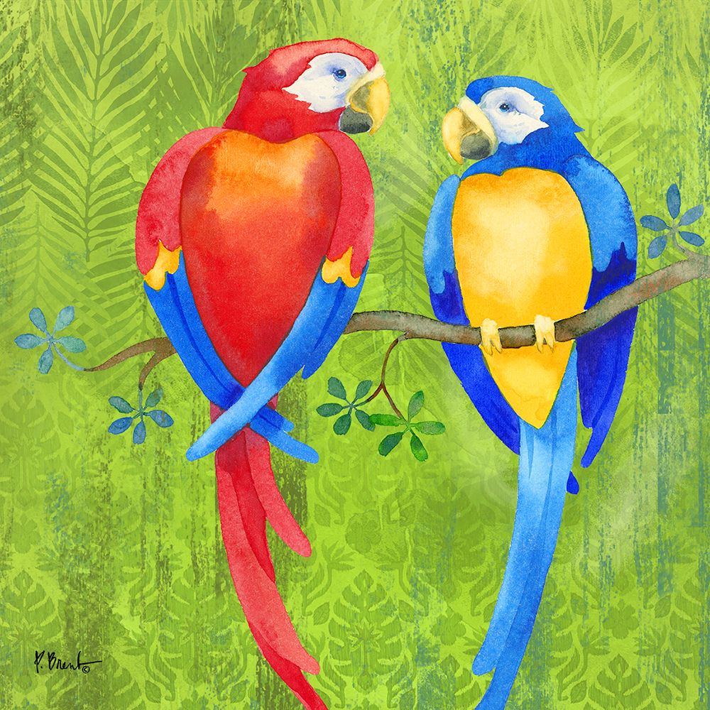 Bird Buddies II - Parrots art print by Paul Brent for $57.95 CAD