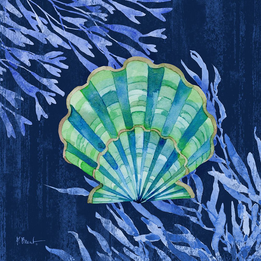 Bondi Shells I art print by Paul Brent for $57.95 CAD