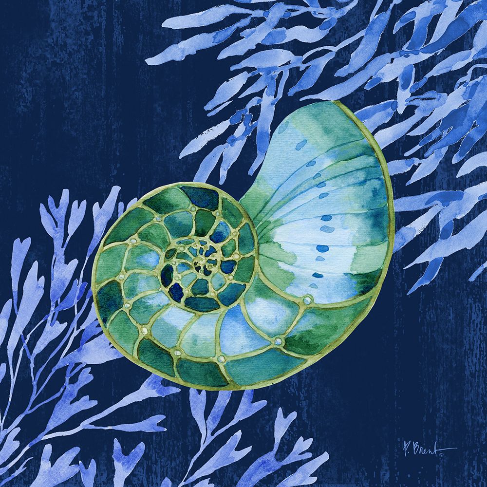 Bondi Shells II art print by Paul Brent for $57.95 CAD