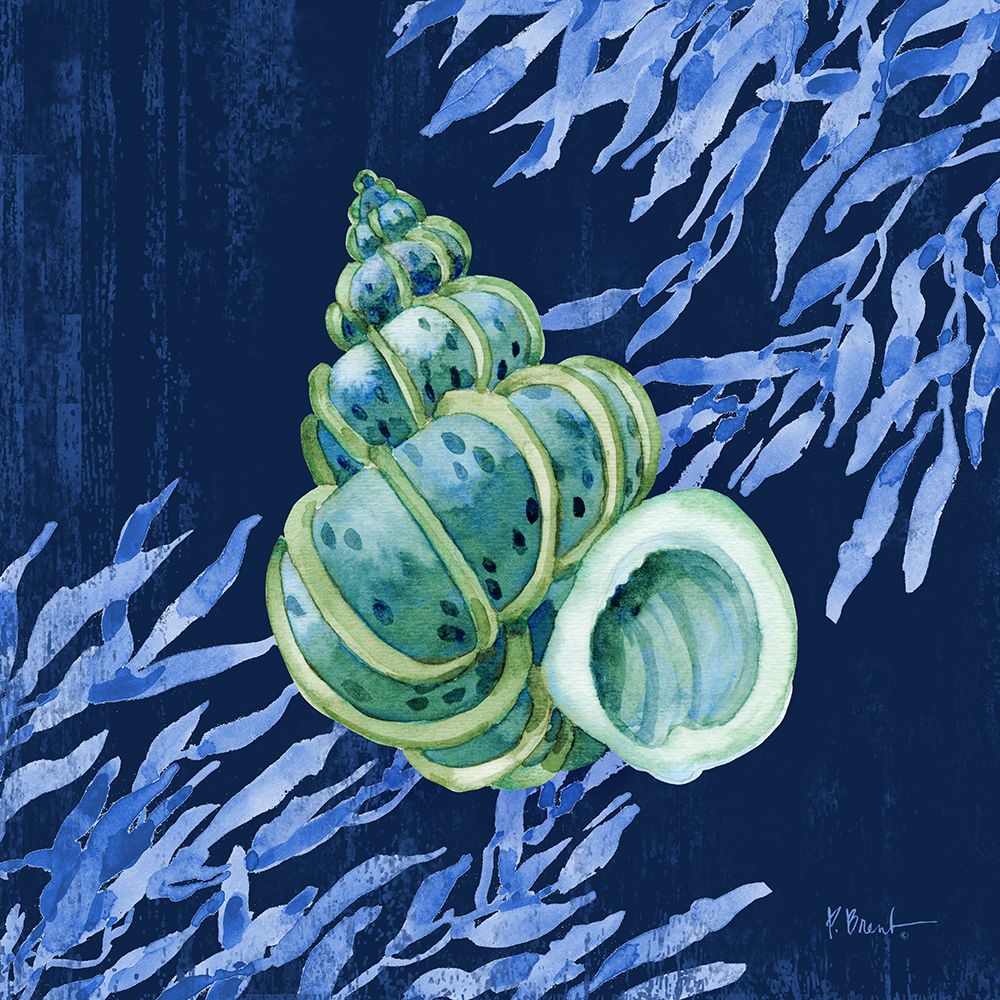 Bondi Shells III art print by Paul Brent for $57.95 CAD