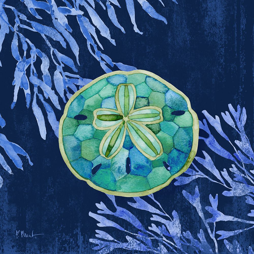 Bondi Shells IV art print by Paul Brent for $57.95 CAD