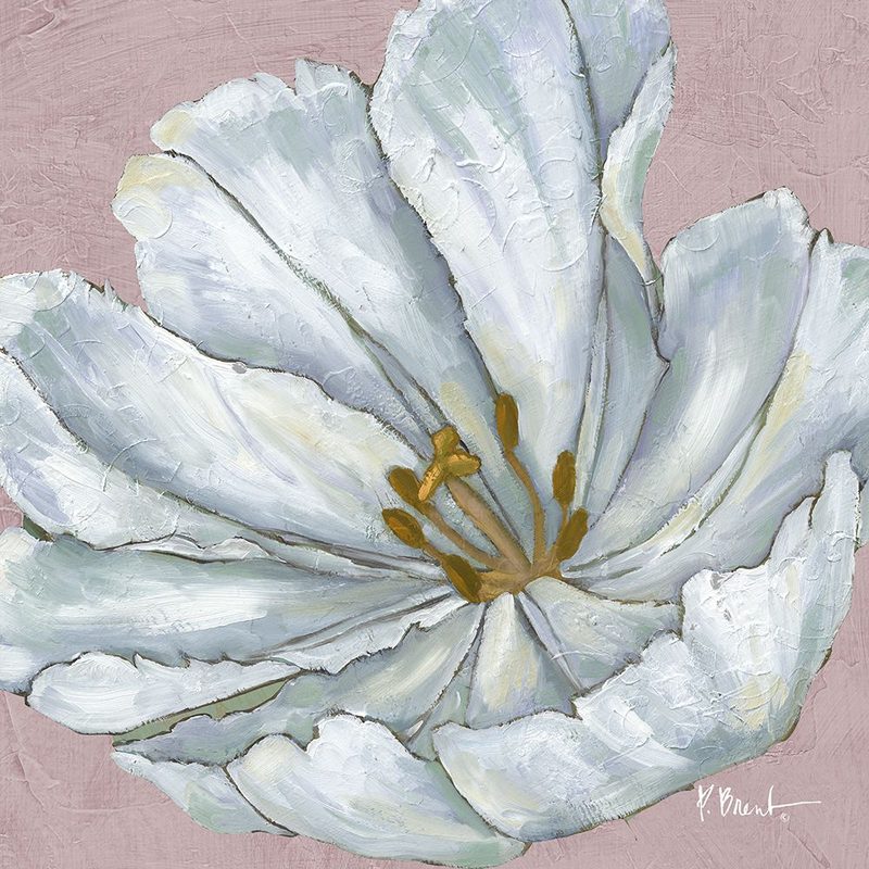 Floral Bloom I - Pink art print by Paul Brent for $57.95 CAD