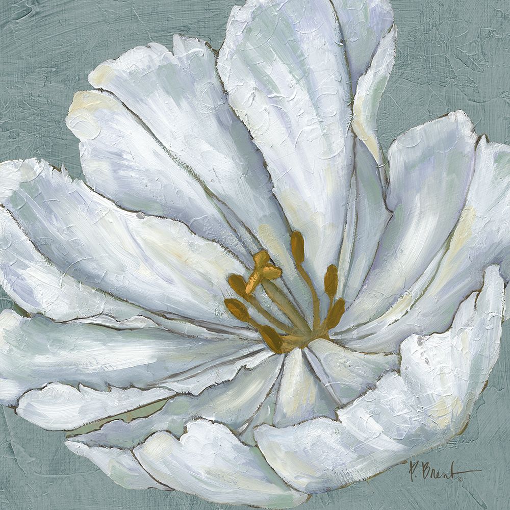 Floral Bloom I art print by Paul Brent for $57.95 CAD