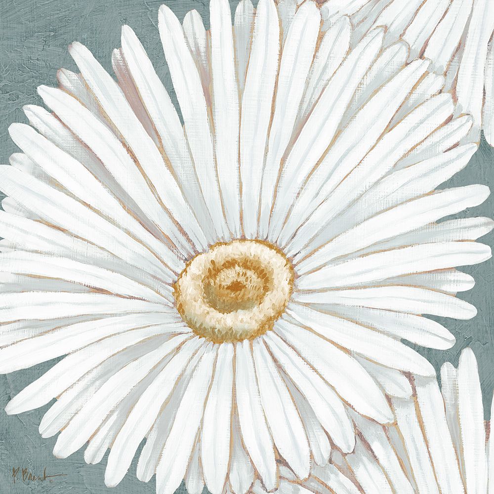 Floral Bloom III art print by Paul Brent for $57.95 CAD