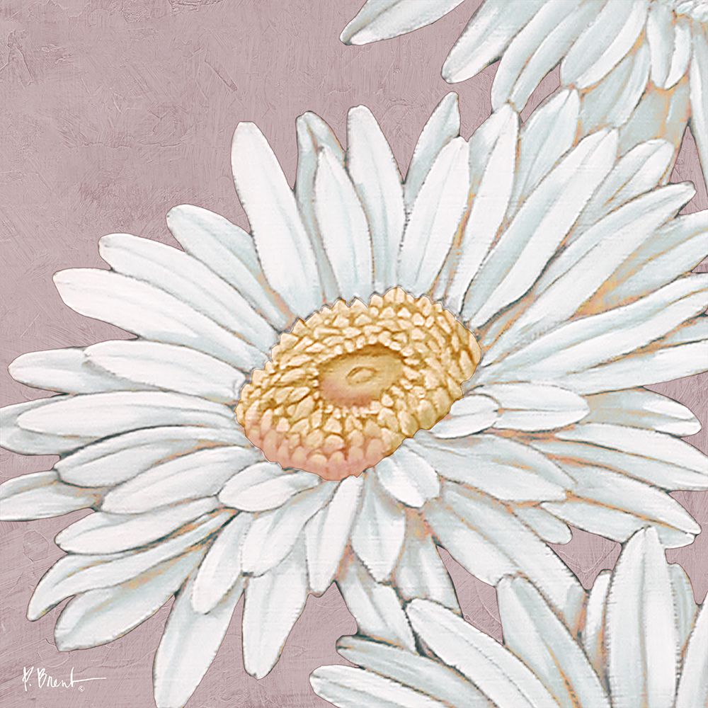 Floral Bloom IV - Pink art print by Paul Brent for $57.95 CAD