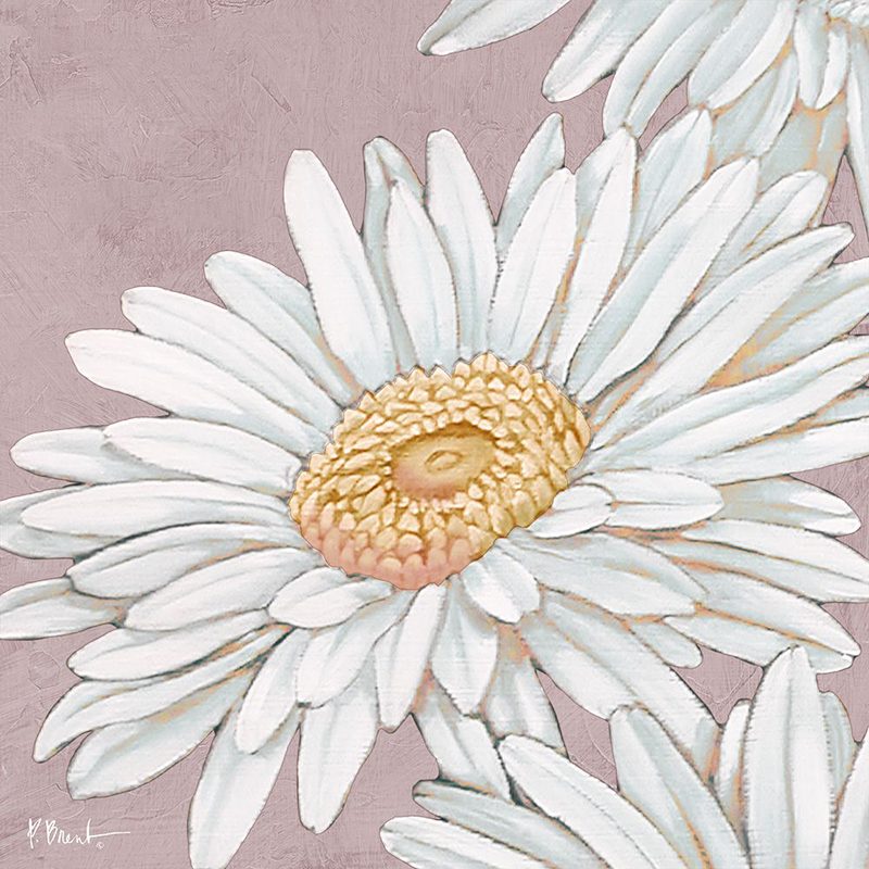 Floral Bloom IV - Pink art print by Paul Brent for $57.95 CAD