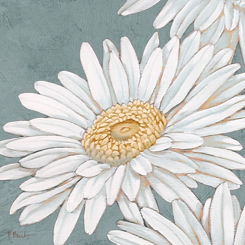 Floral Bloom IV art print by Paul Brent for $57.95 CAD